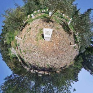 חורשת האומות