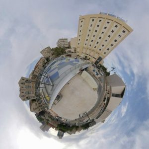 כיכר החתולות