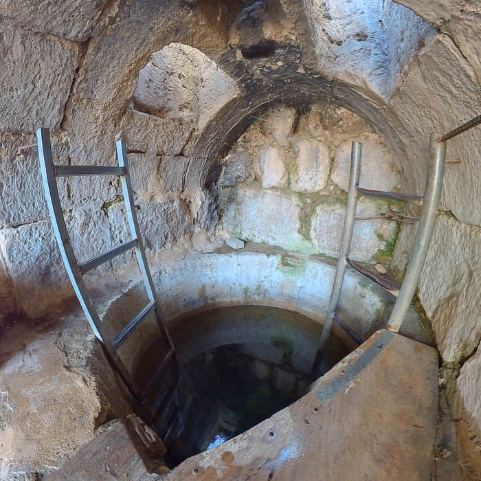 עינות דקלים